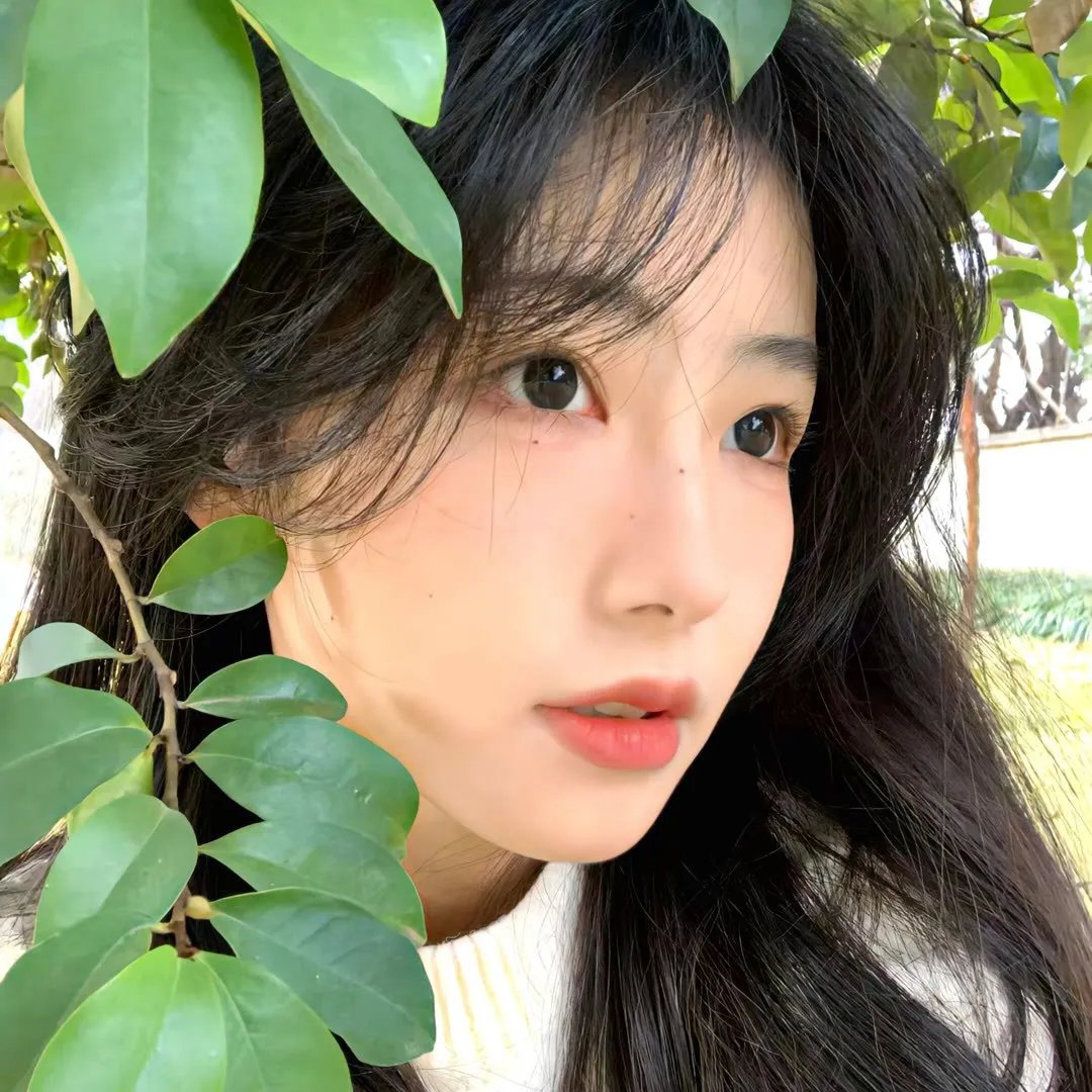 逆女泰瑞丝