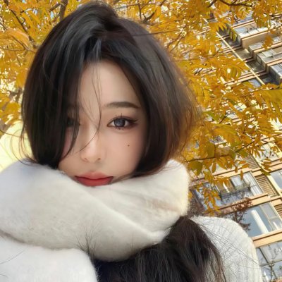 王之逆袭:意志的继承者